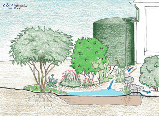 An image of a rainwater harvesting tank and basin.